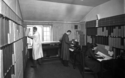 IBM ja Stella Polaris